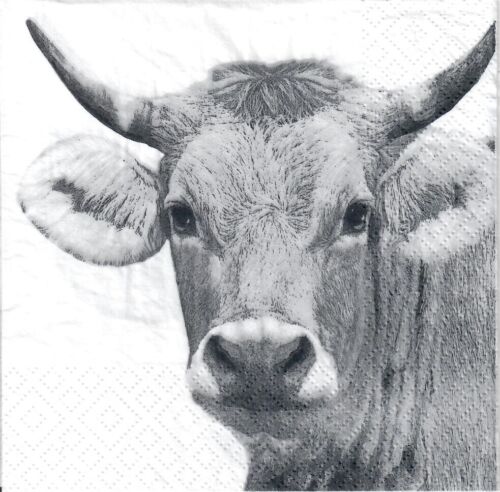 diseño blanco y negro Bull -20 vacas 4 Solo Papel Decoupage Servilletas