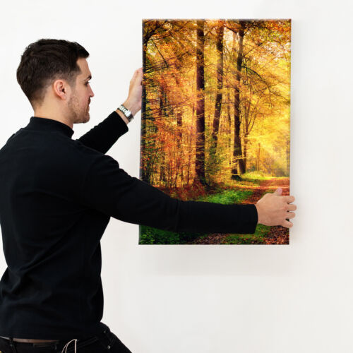 Naranja Verde bosque de otoño retrato de LONA pared arte Foto panorámica Imprime