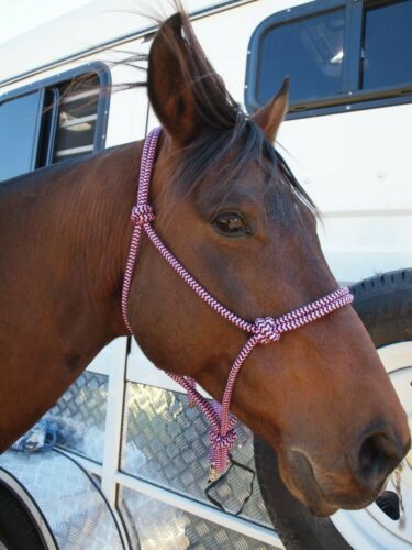 2 Knot Rope Halter 10mm Rope Rope Headstall 