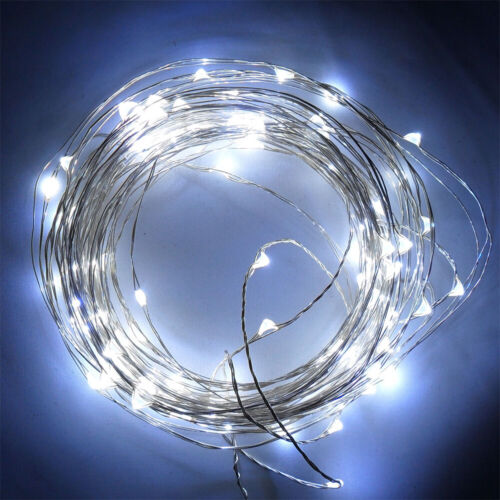 DC 12V 10M Starry Fairy Lights With 100 Micro LEDs Silver Wire Multiple Colors 1 