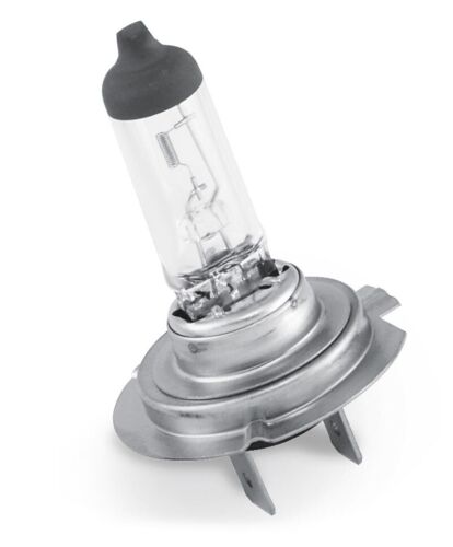 H7LL Halogen Headlight Bulb CandlePower 55 Watt 12 Volt~