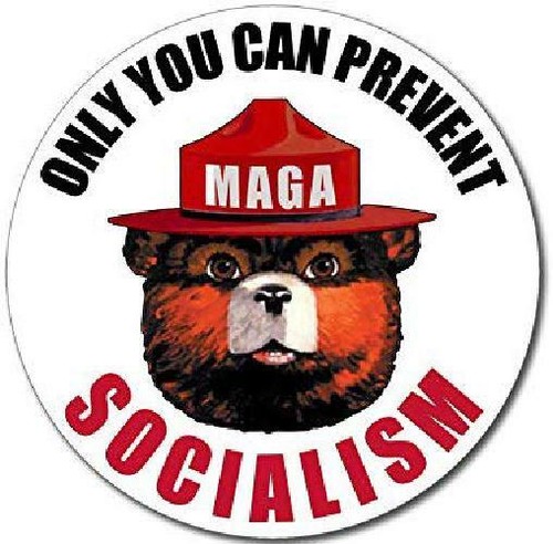 Details about / American Vinyl Round Only You Can Prevent Socialism Sticker Smokey Maga Trump 2