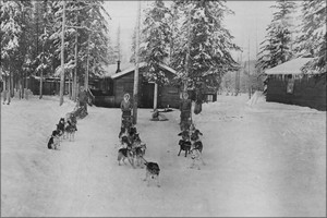 16x24-Poster-In-This-Snow-Covered-Post-Somewhere-In-Alaska-Dog-Teams-Perform