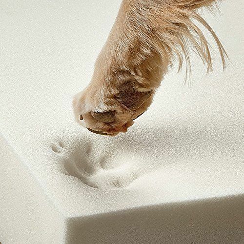 UPHOLSTERY FOAM SHEET HIGH DENSITY Cut To Any size Floor Cushions sofa chair