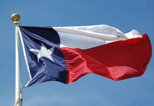 8'x12' Texas Flag Synthetic Cotton 8x12ft Flag Banner 100% Embroidered Sewn 2ply 