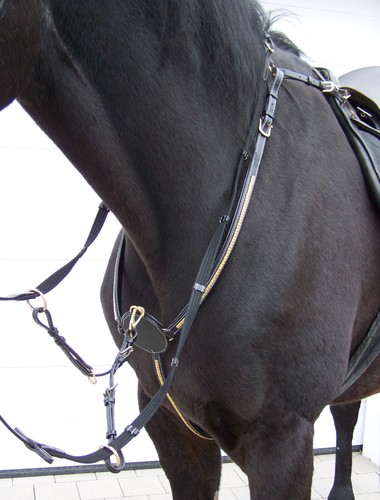 Vorderzeug Con Golden Borchie morbido con lo sfondo Martingal NERO WB//XWB//KB