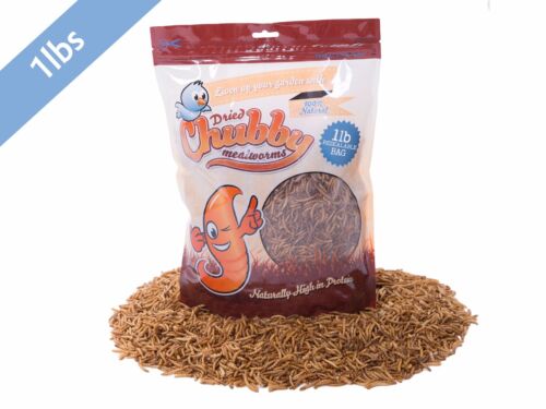 1lb Chubby Dried Mealworms for Birds Reptiles Poultry Sugar Gliders Fish