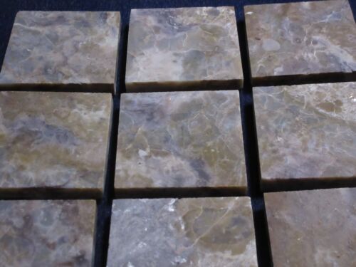 LIMITED PRODUCTION CUSTOM CUT DINOSAUR COPROLITE ACCENT TILE  2 X 2 INCHES!