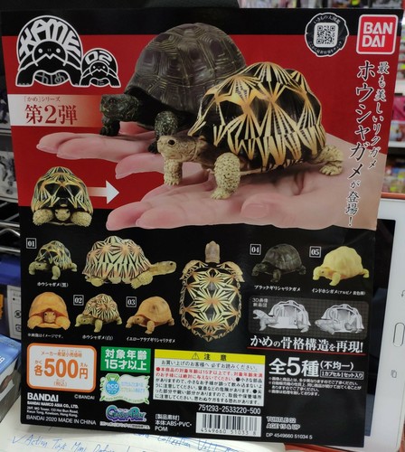 Set of 5 BANDAI Turtle Gashapon 02 Vol.2 Mini Figure