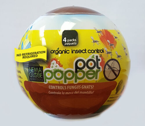 Pot Popper Organic Indoor Fungus Gnat & Insect Control 4x1 Million Nematodes 