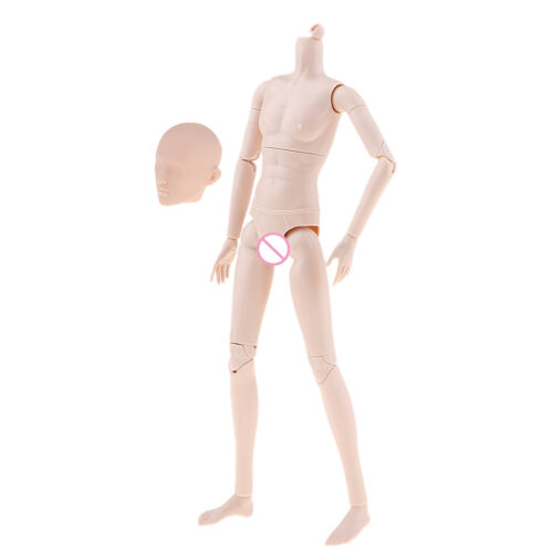 Movable Jointed Male Body Part with Head for 1//6 BJD Doll DIY Project Normal