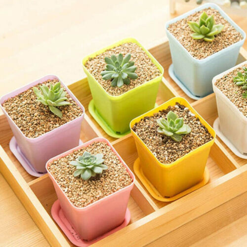 10pcs Mini Basin Square Flower Pot Succulent Plant Trays Home Office Decor DIY 