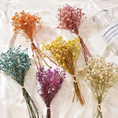 Mini Real Dried Flower Babys Breath Gypsophila Flowers Bouquet DIY Wedding Decor 