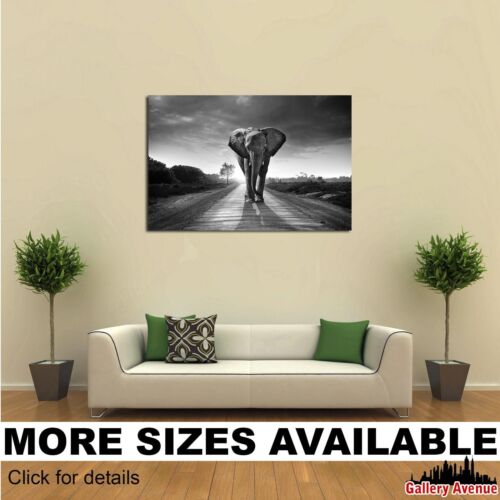 Wall Art Canvas Picture Print Walking Elephant bw 3.2 