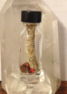 Kala Naga Black Celestial Snake Dark Energy Destroying Nag