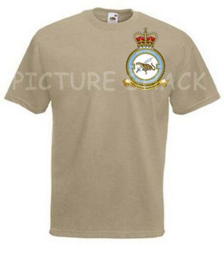 51 RAF REGIMENT  CREST PRINTED ON A T SHIRT CHOICE OF COLOURS 