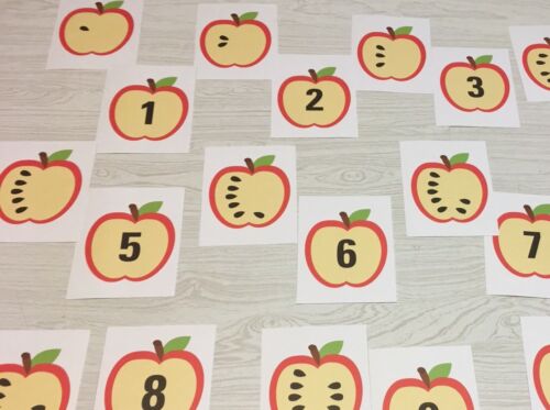 Counting 1-10 20 Laminated cards Apple Seed Number Match Card Set