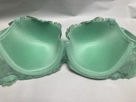 Victoria’s Secret Dream Angel Lightly Lined Embroidered Bra Size 34 DDD