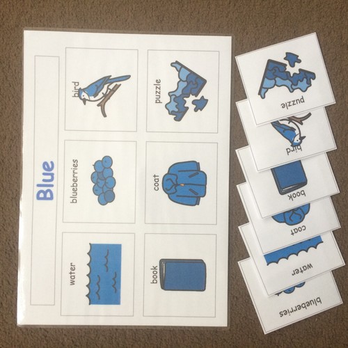 Adhd Pecs//boardmaker color a juego Juego Set 1 Para autism//asd//sen