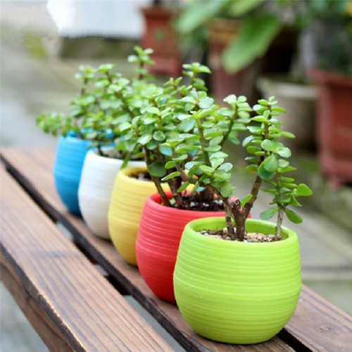 1PC Mini Plastic Flower Pot Succulent Plant Flowerpot For Home Office Decoration