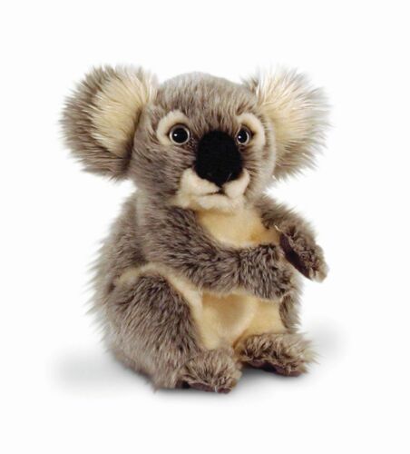 Luxury 20cm Koala brand new with tags Keel Toys