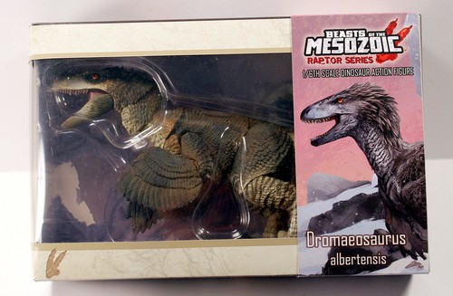 Dromaeosaurus albertensis Raptors Beasts of the Mesozoic