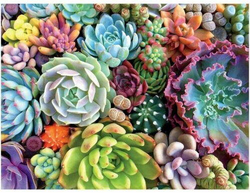 1000 Piece Succulent Spectrum Plants Puzzle Adult Children Holiday Gift Puzzles