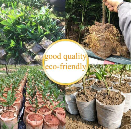 200Pcs Non-woven Nursery Grow Bags Biodegradable Plant Seedling Pots Aeration je 