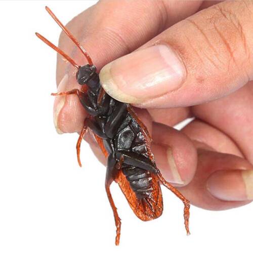 10pcs//set Prank Funny Trick Joke Special Lifelike Model Fake Cockroach Roach Toy