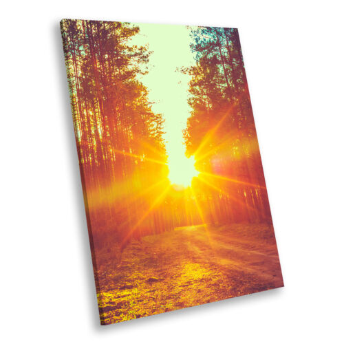 Retro Blue Orange Forest Sunrise Portrait Scenic Canvas Framed Art Picture