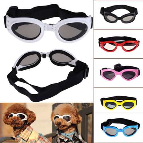 1 pair SMALL PET DOG Goggles Doggles  SUNGLASSES UV Eye Protection ATFUBILS
