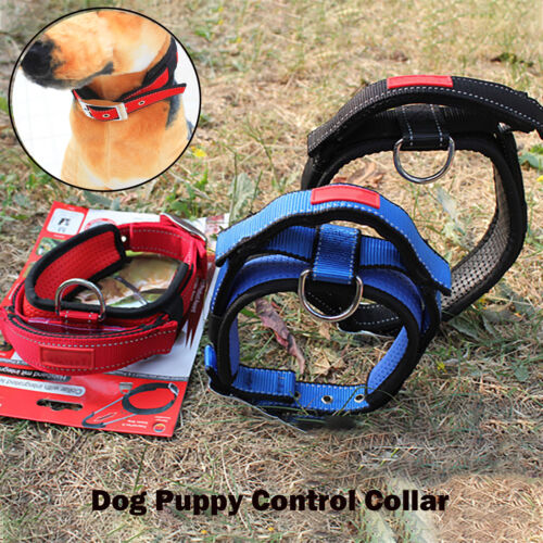 Cachorros-kontrollhalsband mascota con corto integrado correa /& asidero
