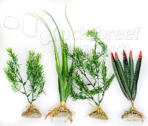 marineland freshwater aquarium c4 silk plants multi plastic plant pack decor