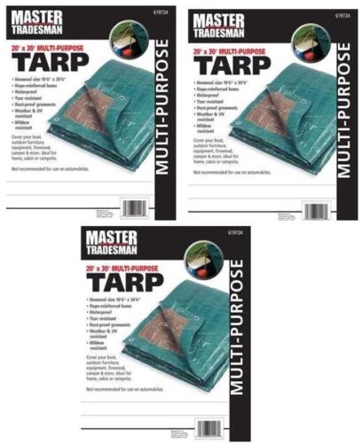 Brown Poly Storage Tarp 3 ea Master Tradesman  20/' x 30/' Hunter Green