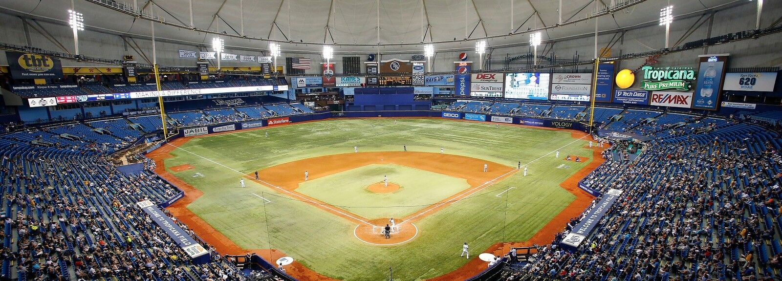 Tropicana Field Seating Chart View