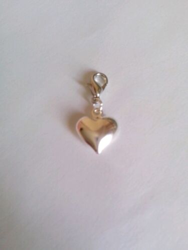 Silver plated Clip On Charms For Anklets/Bracelets. 