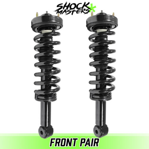 Rear Pair Quick Complete Struts & Coil Springs for 2007-2013 Ford Expedition
