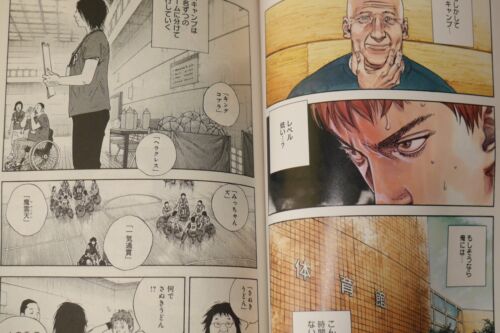 Details about  / JAPAN Takehiko Inoue manga Real vol.1~14 Set