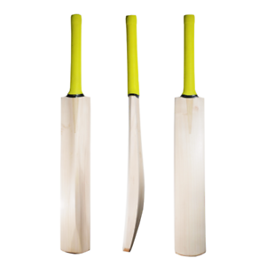Plain Kashmir Willow Cricket Bat Superior Quality Bat Free Express Shipping 