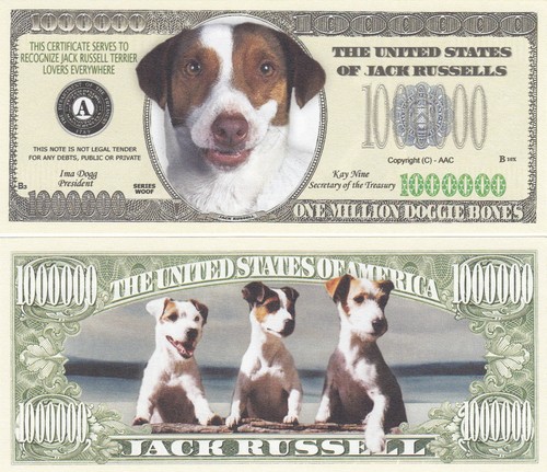 10 Jack Russell Terrier Dog Novelty Currency Bills # 325