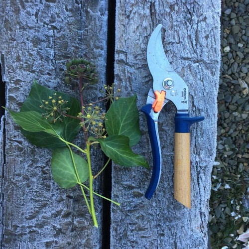 Three positions Stainless steel Opinel Hand Pruner For the gardening lovers