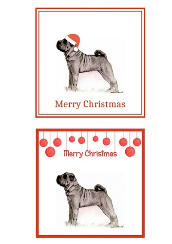 Shar Pei Christmas Card Pack of 6 by Curiosity Crafts