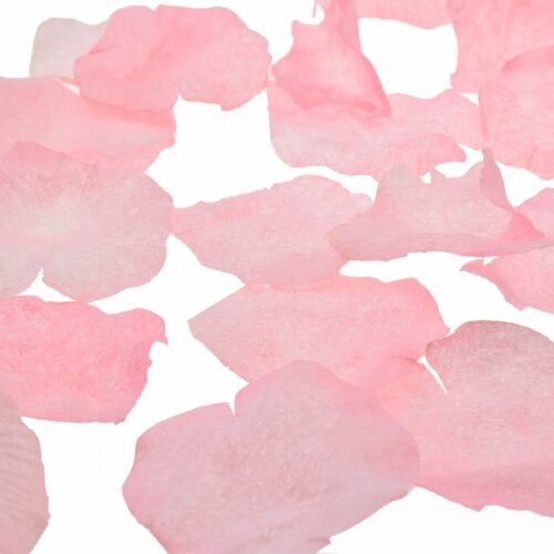 XNB016 Pack of 200 Baby Pink Wedding Organza Petals 