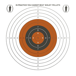 14cm//17cm Single Targets Card Bisley 100 Grade 2