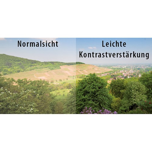 infactory Schärfer-Sehen-Set mit 2 Überziehbrillen /"Day Vision/" /& /"Night Vision/"