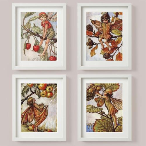 FLOWER FAIRIES SET 4 Picture Print CRAB APPLE Tree CHERRY Hazelnut BEECHNUT Nuts