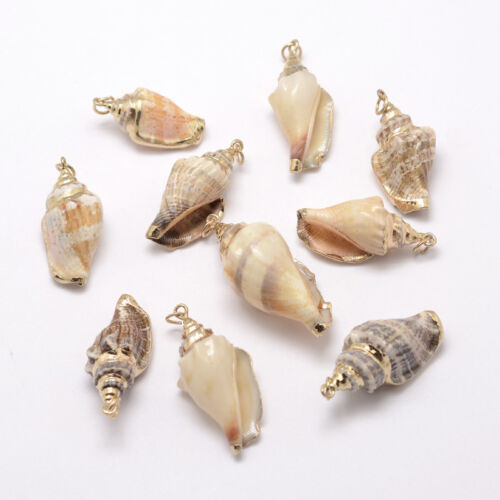 10 pcs Golden GALVANISE Conch Shell Pendentifs Mixte Couleur 26 ~ 52x13 ~ 23x15 ~ 17 mm