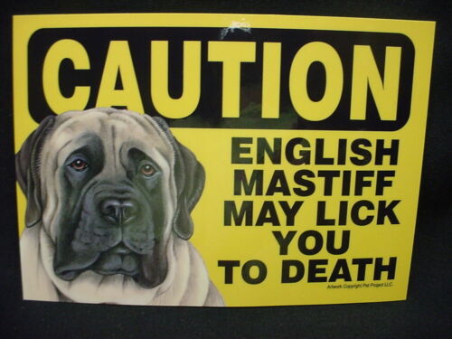 CAUTION ENGLISH MASTIFF MAY LICK YOU TO DEATH SIGN puppy DOG magnet NOVELTY 