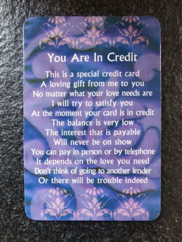 /"Vous êtes en Crédit/" Inspirational Keepsake portefeuille sac à main carte de crédit Taille