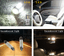 10X HID White T10 10-SMD 168 194 2825 906 LED Bulb Dome Map License Plate Lights